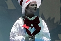 Cat-Doctor