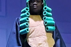 Judge-Yertle