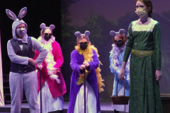 Shrek-Donkey-Mice-Fiona