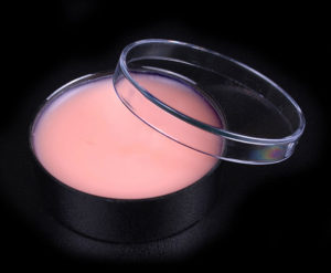 Modeling Putty Wax