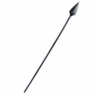 Roman Spear