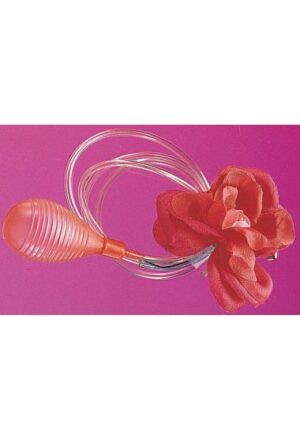 Squirt Rose