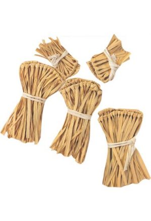 Scarecrow Straw