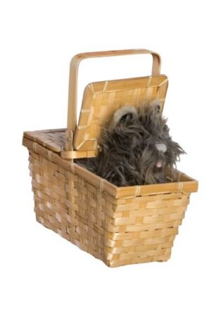 Toto in Basket