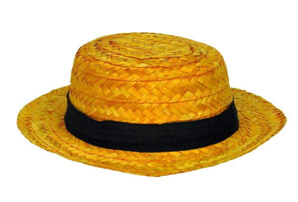 Straw Skimmer