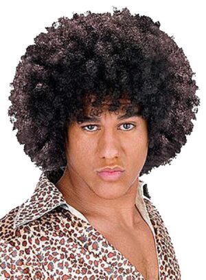 Disco Afro Wig