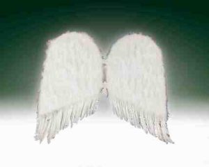 36" Wings