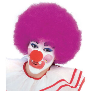 Deluxe Clown Wig