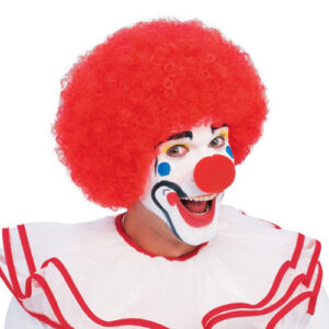 Clown Wig