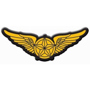 Pilot Wings Applique