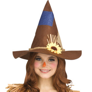 Scarecrow Hat Nice