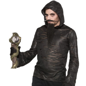 Witches and Wizards Hoodie