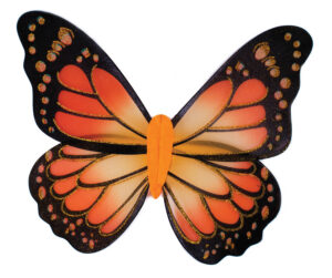 Monarch Butterfly Wings