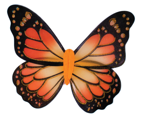 Monarch Butterfly Wings