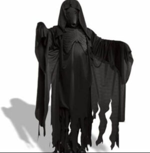 16555 Dementor Dementor