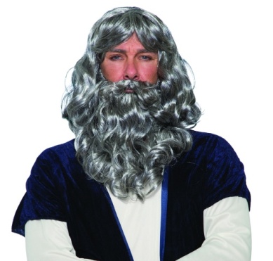 Biblical Wig & Beard