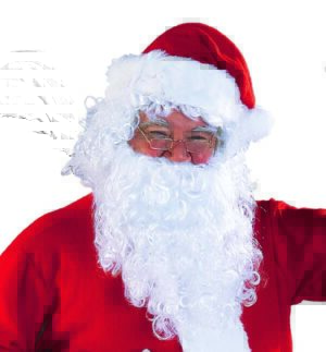 Santa Wig and Beard set