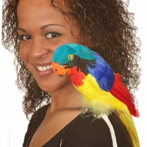 21782 MCNS Pirate's Parrot