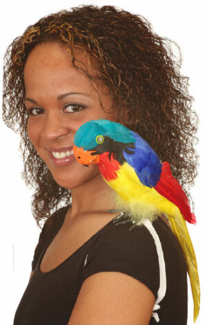 Pirate's Parrot