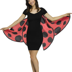 Lady Bug Soft Wings