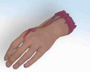 Body Parts - Hand