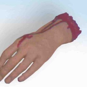 Body Parts - Hand