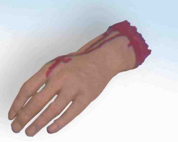 Body Parts - Hand
